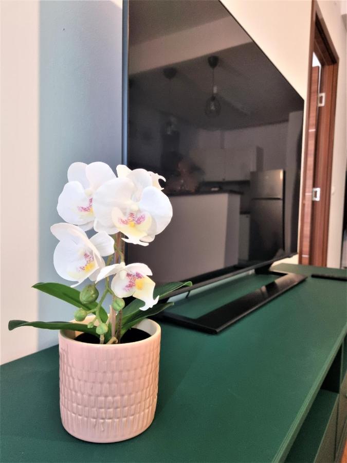 Summer Onix Mamaia Nord Apartament Năvodari 외부 사진